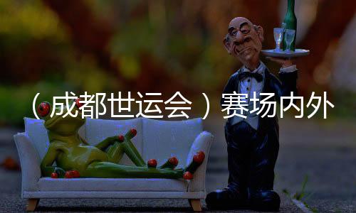 （成都世运会）赛场表里景象形象万千——清点成都世运会“名排场”