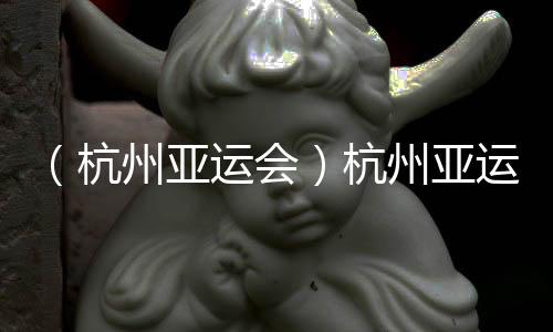 (杭州亚运会)杭州亚运会迎来代表团单日出境最岑岭