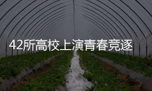42所高校演出芳华竞逐 2025CURA天下接力总决赛初次在沪进行