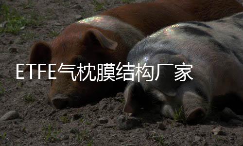 卓远保送装备(多图)