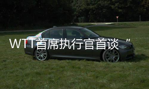 WTT首席履行官首谈“刘国梁离任”与“活带动安康”