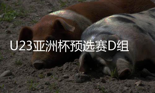 U23亚洲杯预选赛D组前瞻：中澳之战或决议小组出线走向