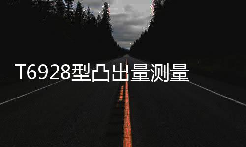 T6928型凸出量丈量仪