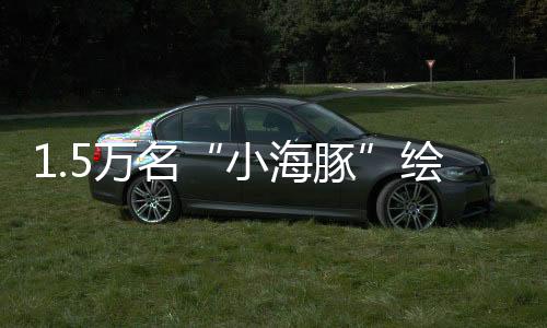 1.5万名“小海豚”绘就残特奥会暖和画卷
