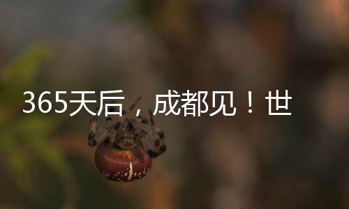 365天后，成都见！世运会倒计时一周年 向全天下收回真挚邀约