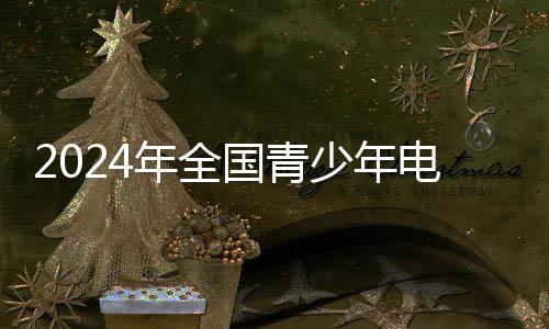 2024年天下青少年电子建造锦标赛在四川简阳停止