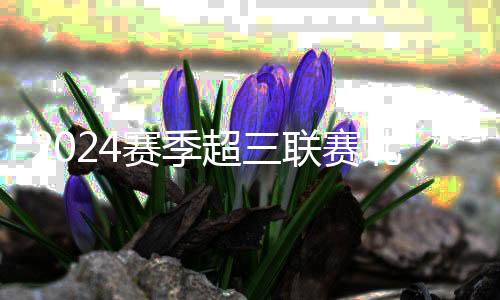 2024赛季超三联赛北京争霸赛闭幕,无锡队夺冠