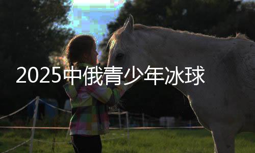2025中俄青少年冰球约请赛闭幕 24支步队哈尔滨比赛