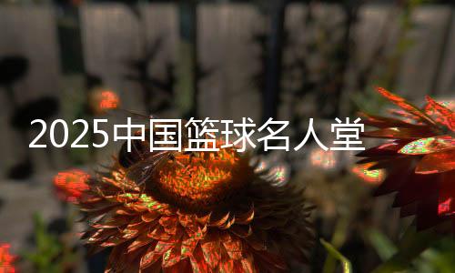 2025中国篮球名流堂入堂范围肯定 终究成果11月发布