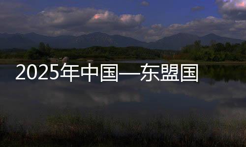 2025年中国—东友邦际龙舟公然赛在广西藤县进行