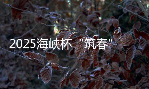 2025海峡杯“筑春”男子公然赛启动 以高球促交换