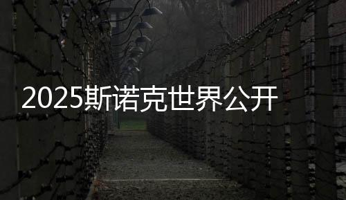 2025斯诺克天下公然赛：丁俊晖轻松升级 塞尔比爆冷出局