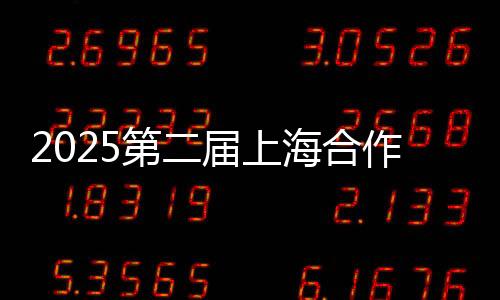 2025第二届上海协作构造雪地足球赛在哈尔滨开赛